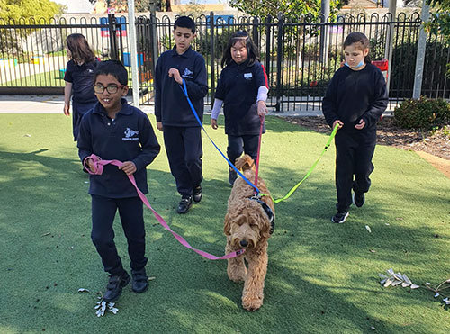 Students with a therapy dog on a lead outside