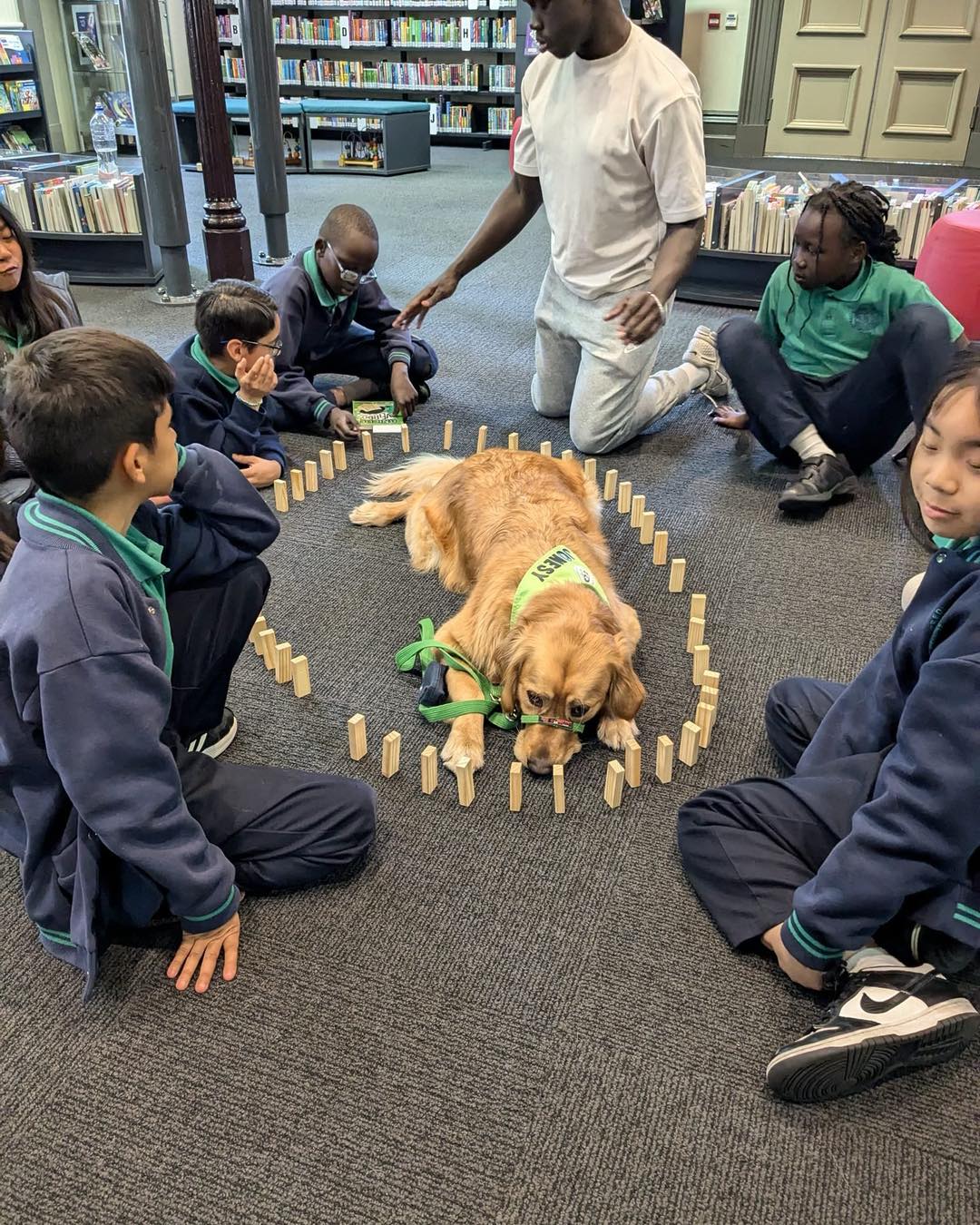 Canine Comprehension: Dog Assisted Learning Melbourne