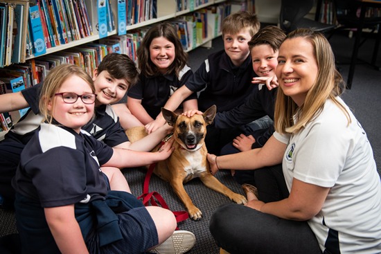 Canine Comprehension: Dog Assisted Learning Melbourne - Meet The Team