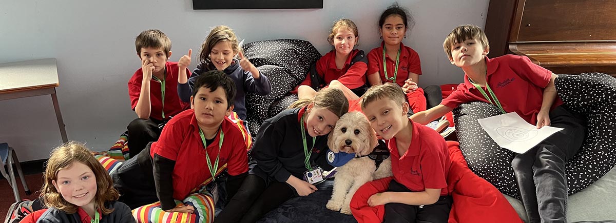 Canine Comprehension: Dog Assisted Learning Melbourne - Useful Resources