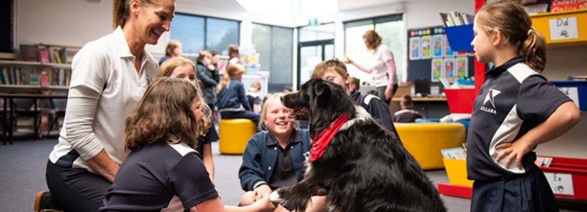 Canine Comprehension: Dog Assisted Learning Melbourne