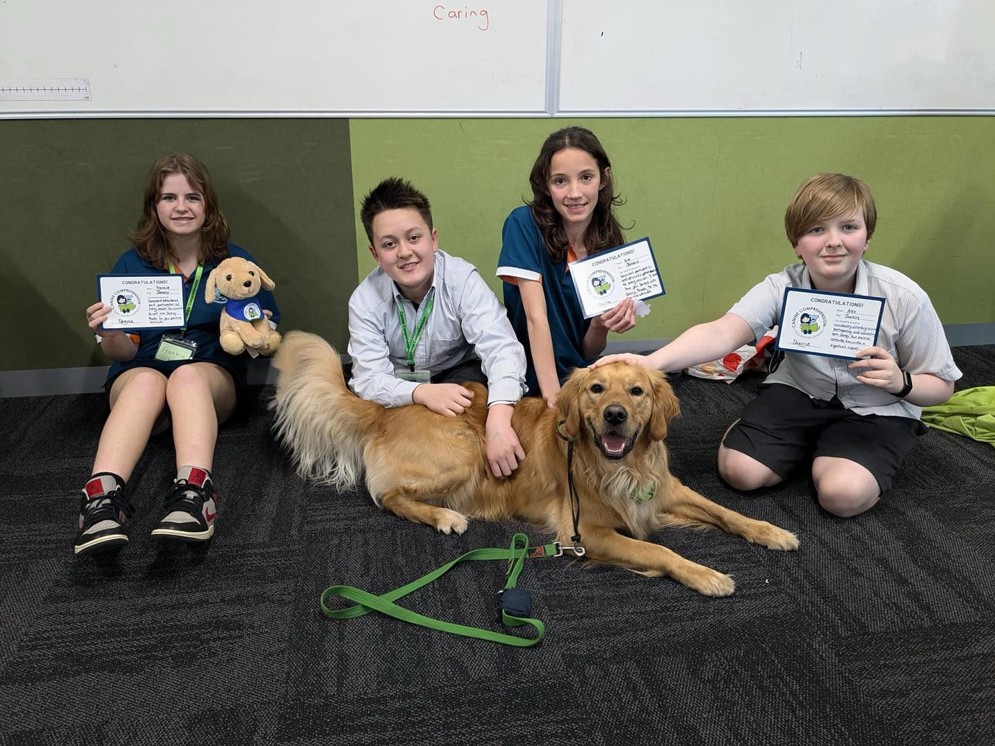 Canine Comprehension: Dog Assisted Learning Melbourne