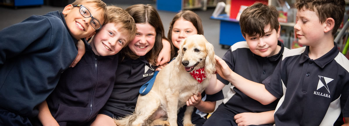 Canine Comprehension: Dog Assisted Learning Melbourne