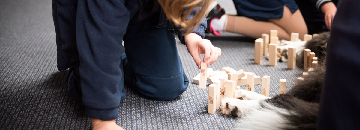Playing Jenga Blocks with the dog