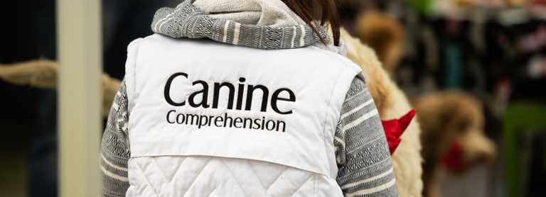 Canine Comprehension: Dog Assisted Learning Melbourne