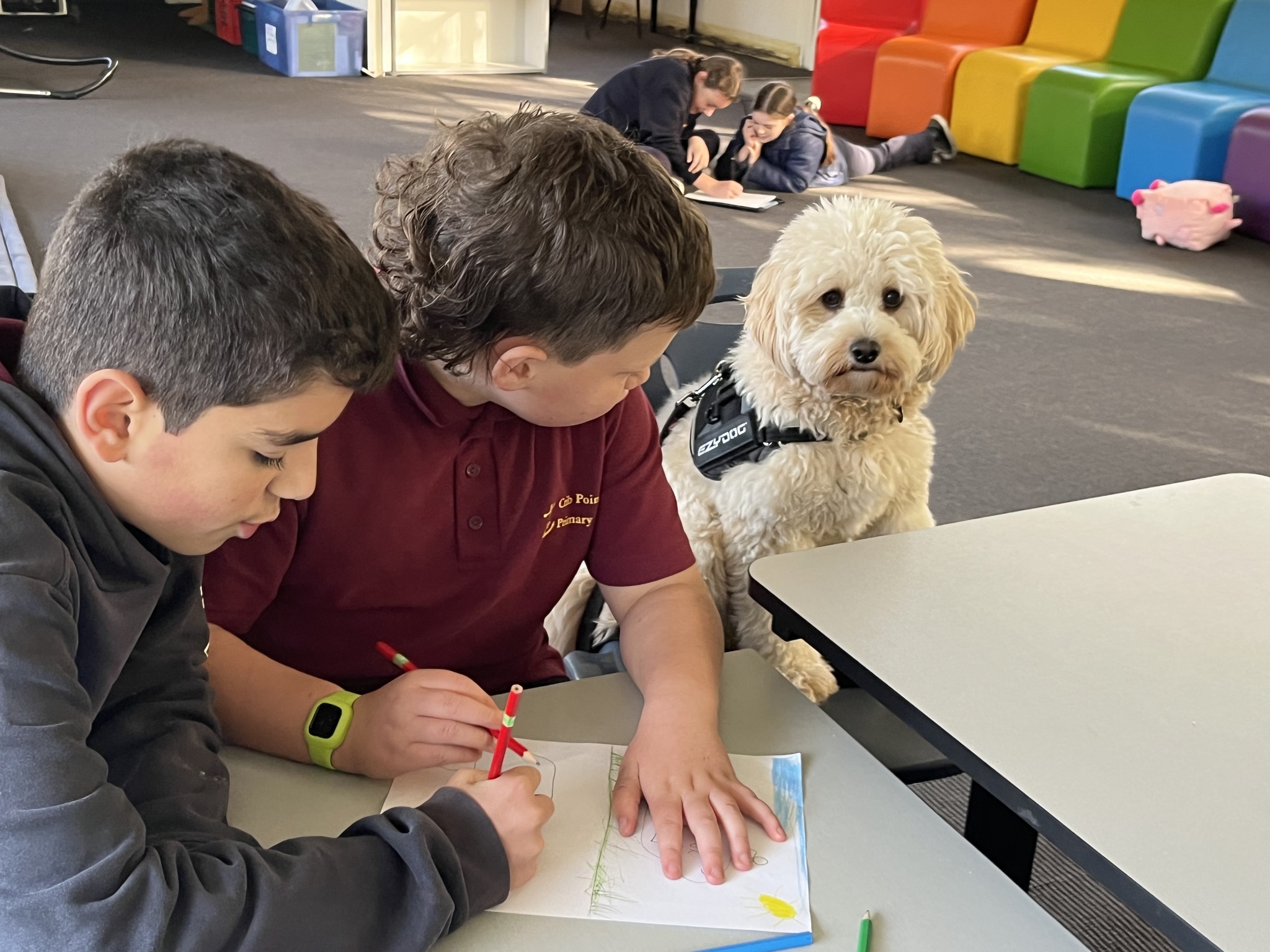 Canine Comprehension: Dog Assisted Learning Melbourne