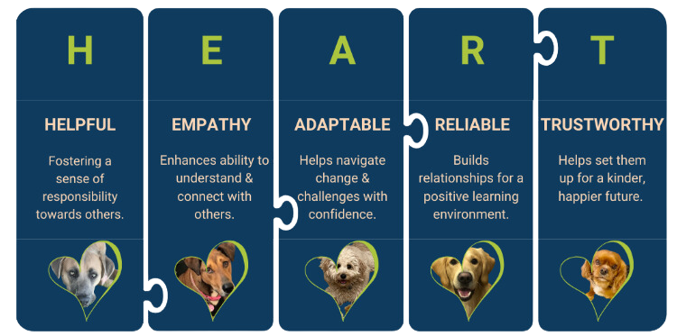 Canine Comprehension: Dog Assisted Learning Melbourne