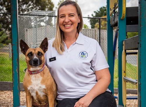 Canine Comprehension: Dog Assisted Learning Melbourne