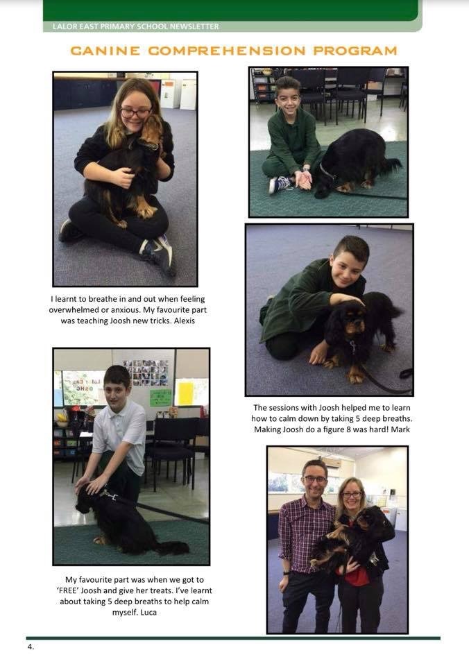 Canine Comprehension: Dog Assisted Learning Melbourne