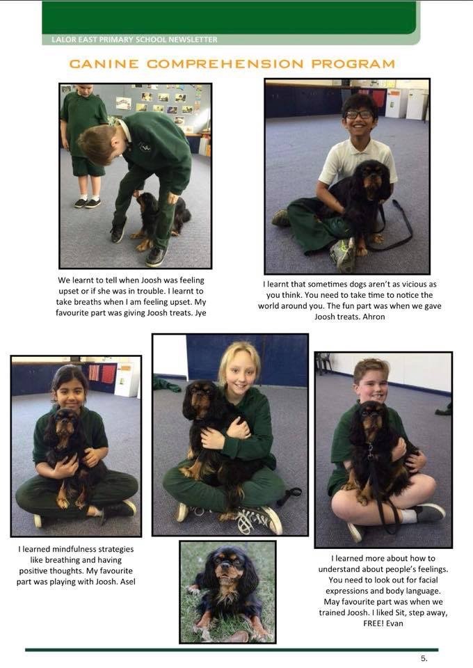 Canine Comprehension: Dog Assisted Learning Melbourne