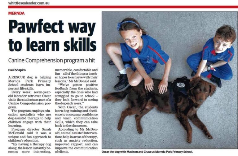 Canine Comprehension: Dog Assisted Learning Melbourne