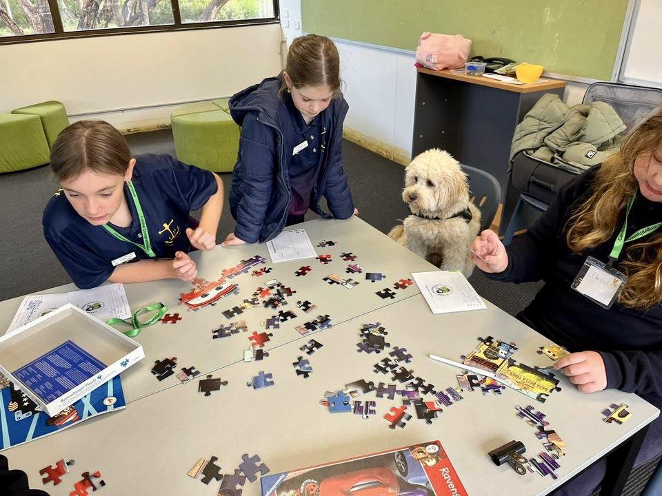 Canine Comprehension: Dog Assisted Learning Melbourne