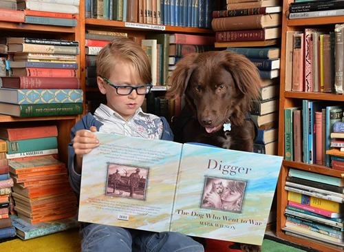 Canine Comprehension: Dog Assisted Learning Melbourne