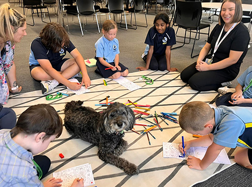 Canine Comprehension: Dog Assisted Learning Melbourne