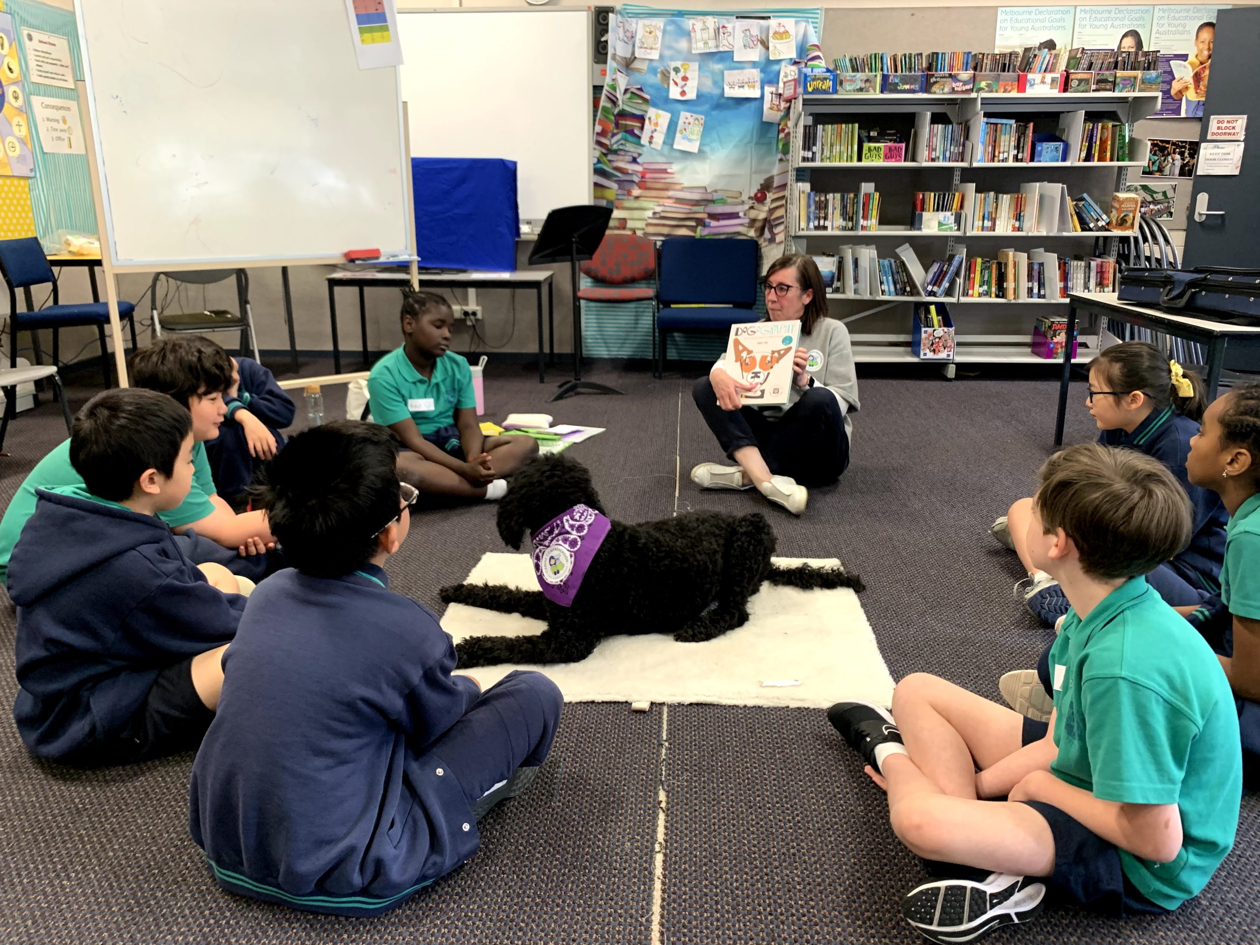 Canine Comprehension: Dog Assisted Learning Melbourne