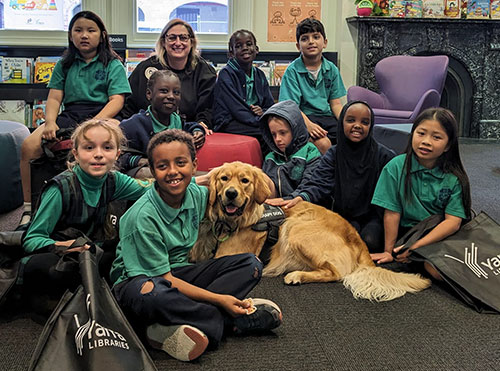 Canine Comprehension: support students with anxiety Dog Assisted Learning Melbourne