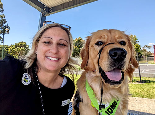 Canine Comprehension: Dog Assisted Learning Melbourne