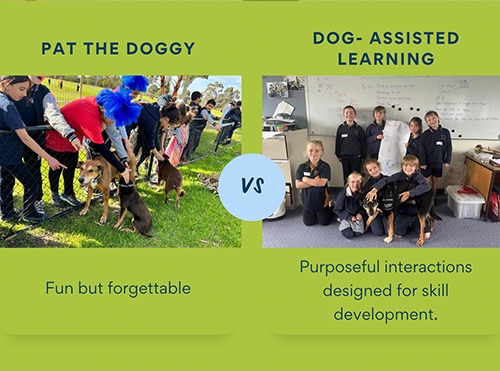 Canine Comprehension: Dog Assisted Learning Melbourne