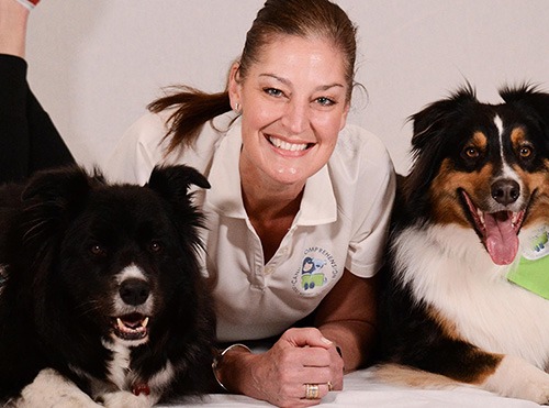 Canine Comprehension: Dog Assisted Learning Melbourne