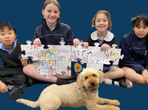 Canine Comprehension: Dog Assisted Learning Melbourne