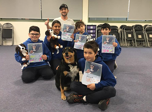 Canine Comprehension: Dog Assisted Learning Melbourne