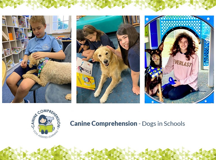 Canine Comprehension: Dog Assisted Learning Melbourne