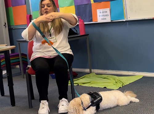 Canine Comprehension: Paws in practice Dog Assisted Learning Melbourne