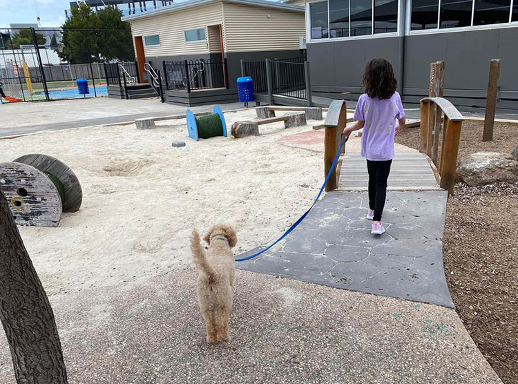 Canine Comprehension: Dog Assisted Learning Melbourne