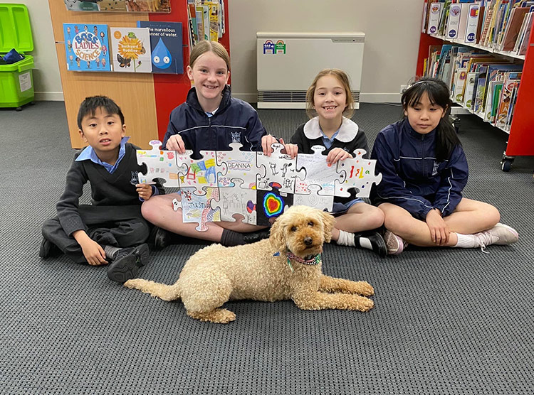 Canine Comprehension: Dog Assisted Learning Melbourne