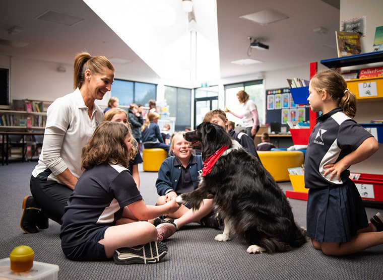 Canine Comprehension: Dog Assisted Learning Melbourne