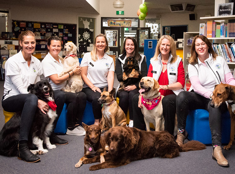 Canine Comprehension: Dog Assisted Learning Melbourne