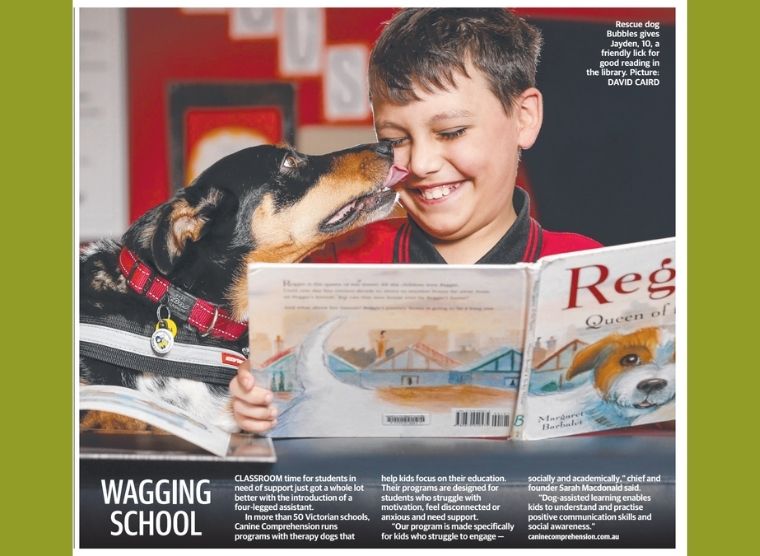 Canine Comprehension: Dog Assisted Learning Melbourne