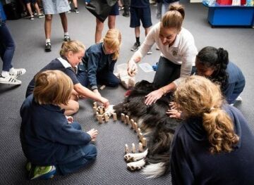 Canine Comprehension: Dog Assisted Learning Melbourne