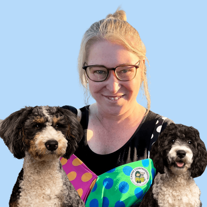 Sarah MacDonald, Canine Comprehension: Dog Assisted Learning Melbourne