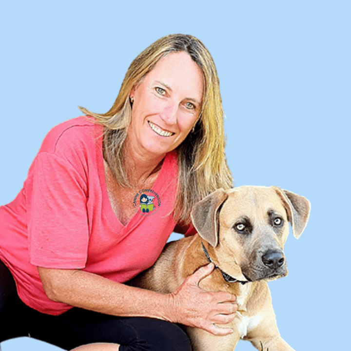 Canine Comprehension: Dog Assisted Learning Melbourne