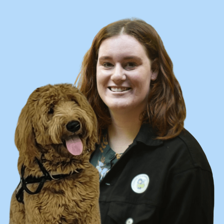 Canine Comprehension: Dog Assisted Learning Melbourne