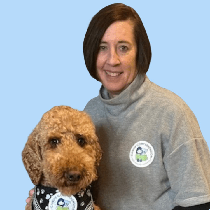 Canine Comprehension: Dog Assisted Learning Melbourne