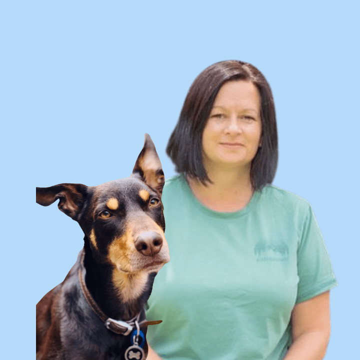 Canine Comprehension: Dog Assisted Learning Melbourne