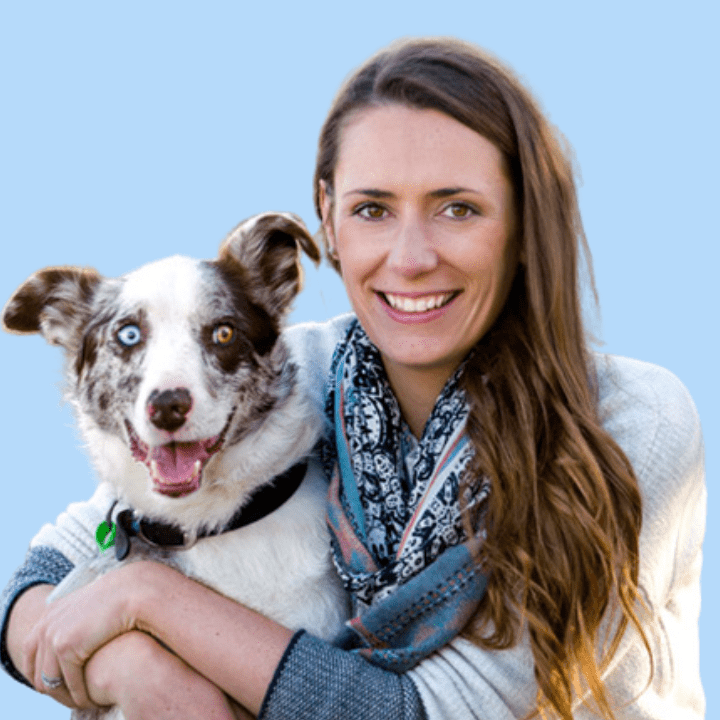 Canine Comprehension: Dog Assisted Learning Melbourne