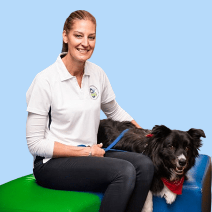 Canine Comprehension: Dog Assisted Learning Melbourne