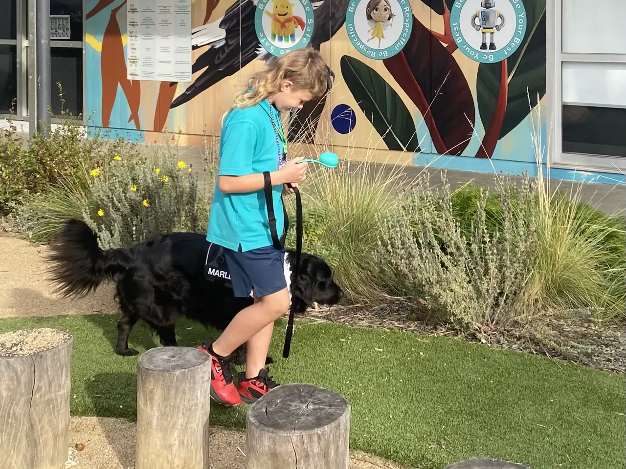 Teaching Strategy: Repetition | Canine Comprehension