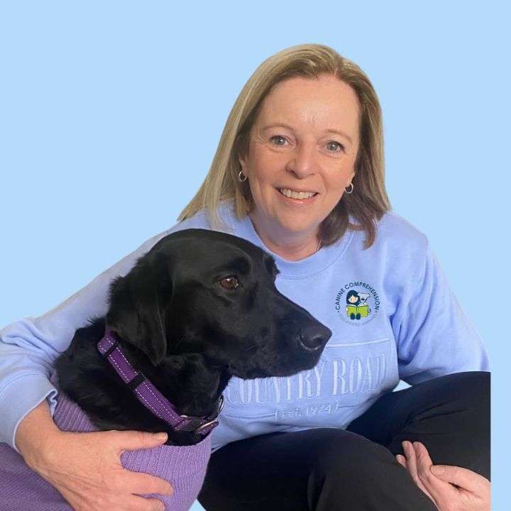 Canine Comprehension Mentor Louise