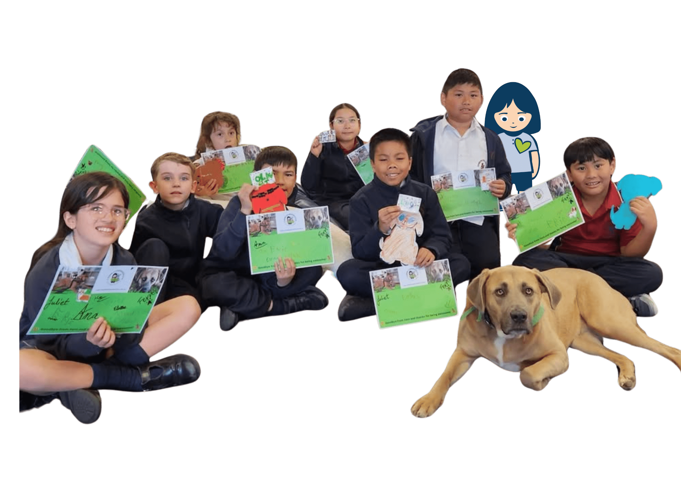 Fern FAQ's with Canine Comprehension students