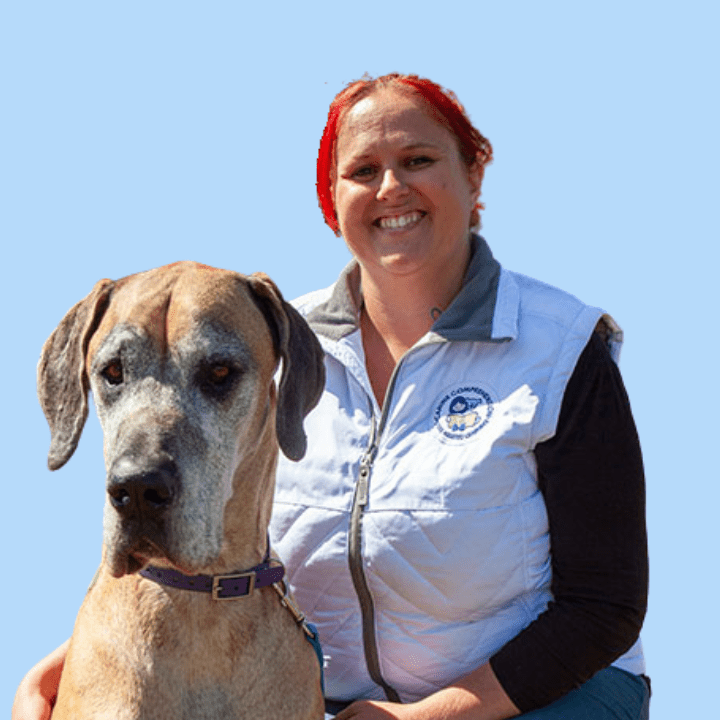 Canine Comprehension Mentor and dog