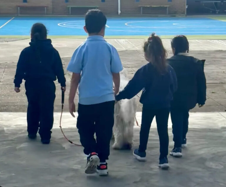 Canine Comprehension | Tough Days