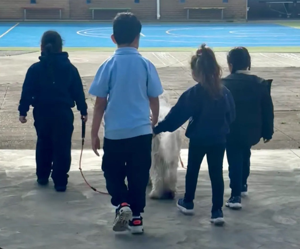 Canine Comprehension | Tough Days